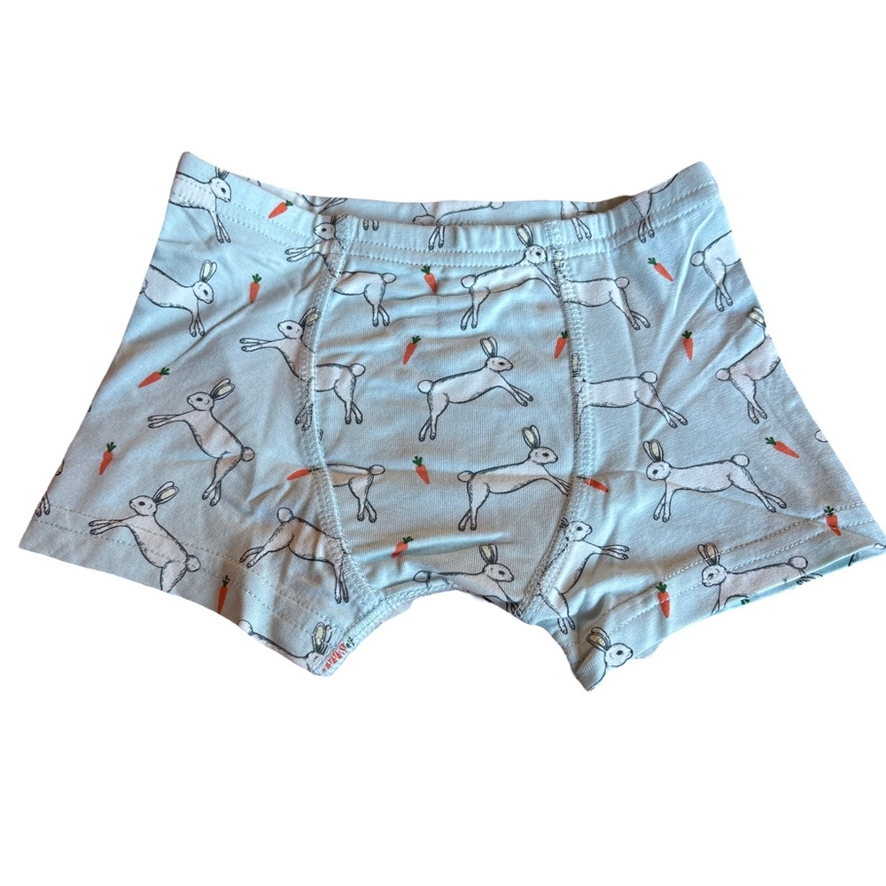 Free Birdees Kids Bunny Print Bamboo Boxers Blue 2-3 years NWT (3 for $12 item)